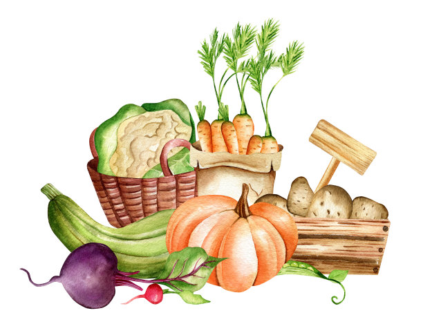 水彩插图。图片下载