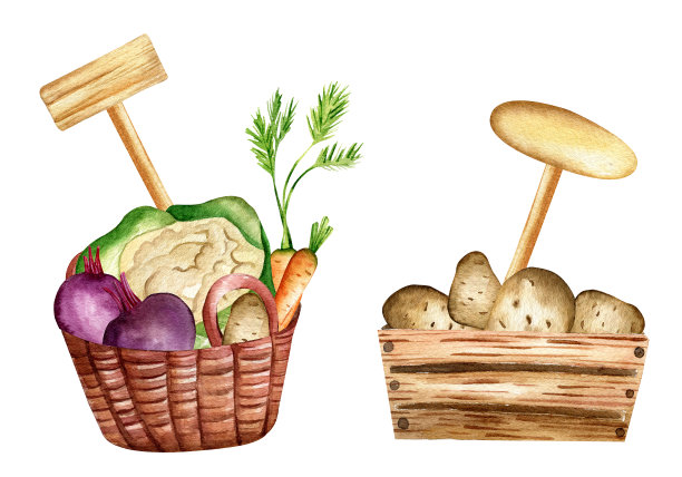 水彩插图。图片下载