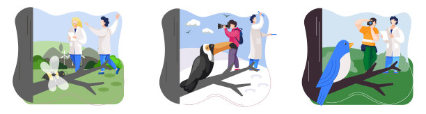 野外动物观察。生态学家和科学家进行研究，照顾家禽和自然图片下载