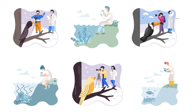 野外动物观察。生态学家和科学家进行研究，照顾家禽和自然图片下载