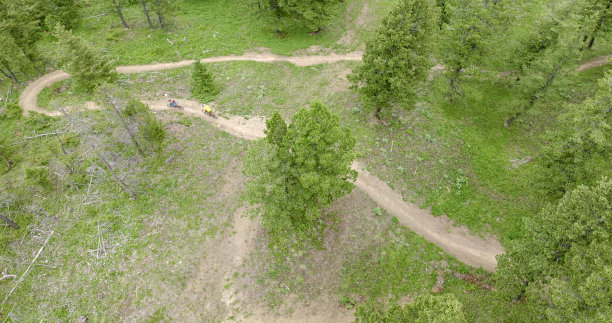 一对老年夫妇沿着长满草的小路骑山地车图片下载
