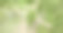 一对老年夫妇沿着长满草的小路骑山地车图片下载