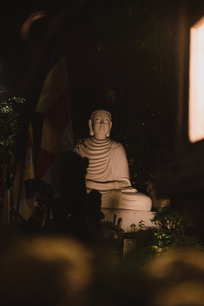 巨大的白色佛像在大理石山夜间-越南-岘港-黄色的花朵在前景-灯笼在背景图片下载