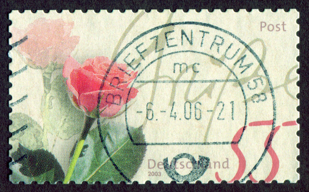 德国邮票:盛开的玫瑰图片下载