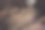 麦田——金黄色麦穗的特写照片。图片下载