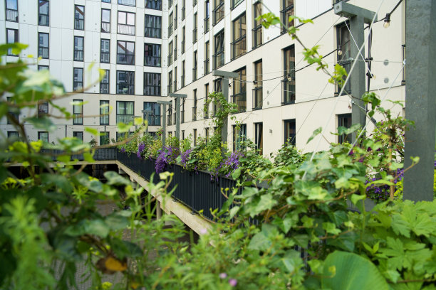 绿色屋顶花园与盛开的植物附近的住宅建筑。图片下载