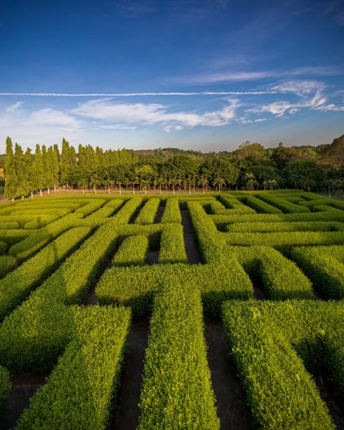 迷宫公园图片下载