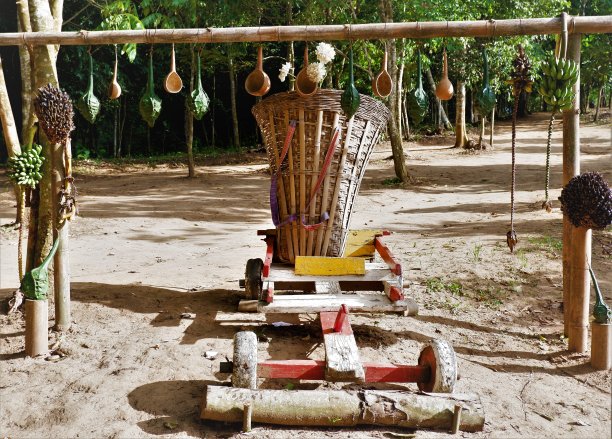 在森林里搬运东西的木车图片下载