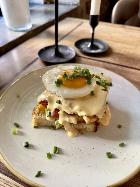 鳄鱼夫人，奶酪和鸡蛋图片下载