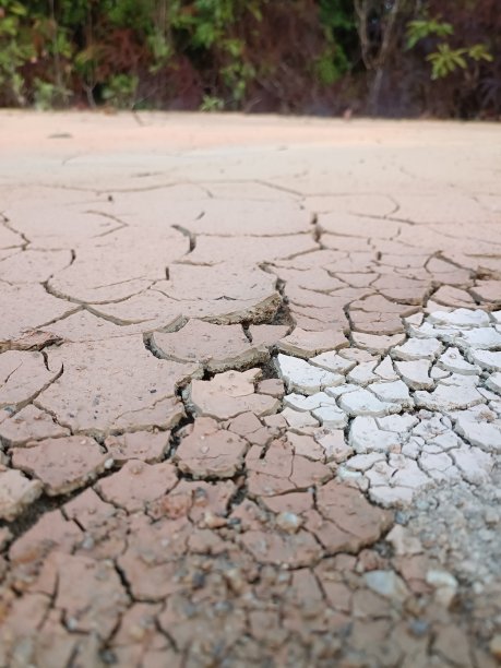泥泞的地面纹理背景的特写，已经硬化并在其表面形成裂缝图片下载