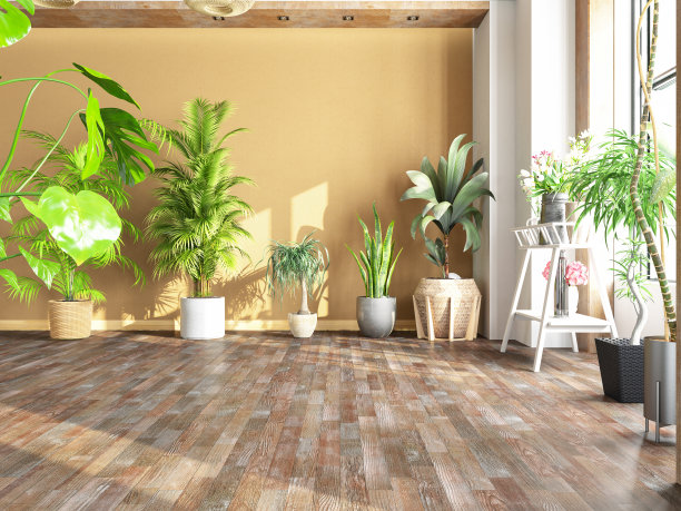 舒适的房间充满了绿色的植物和鲜花图片下载