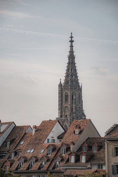 伯尔尼图片下载