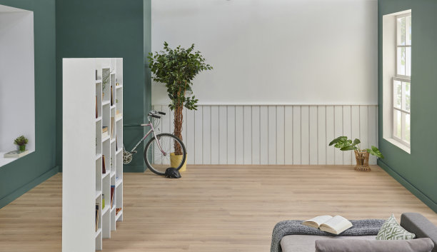 绿色和白色的房间墙壁背景风格，沙发地毯细节，拼花和地毯设计，书架和植物概念的花瓶。图片下载