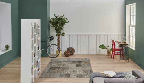 绿色和白色的房间墙壁背景风格，沙发地毯细节，拼花和地毯设计，书架和植物概念的花瓶。图片下载