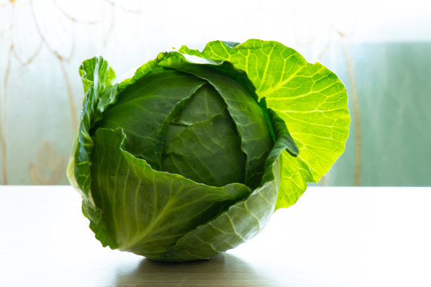 绿卷心菜的秋千在一个孤立的背景图片下载