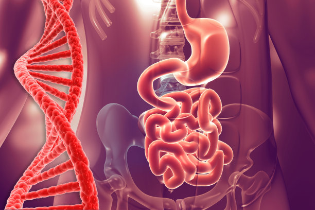 用DNA链解剖人体消化系统图片下载