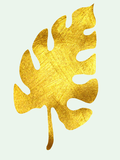 金色的热带树叶在孤立的白色背景上的插图，水彩画。图片下载