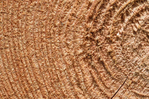 棕色木材近距离，树纹理壁纸图片下载