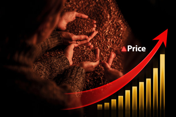 三个女农民在黑暗的机库里拿着粮食图片下载