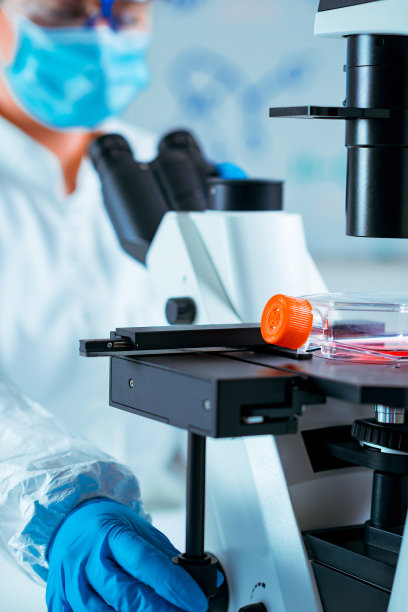 生命科学研究人员使用显微镜发现新的见解图片下载