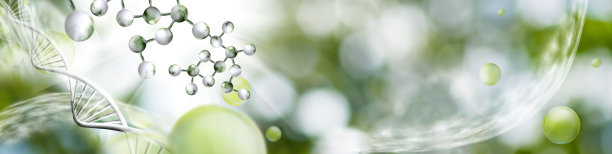 在模糊的绿色背景上的程式化DNA链模型的图像图片下载