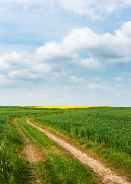 夏日的风景，闷热的夏日，乡村的小路，穿过田野图片下载