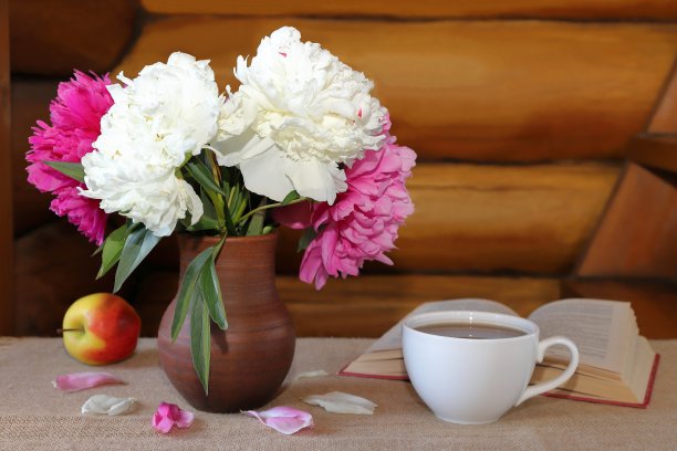 牡丹和水果。图片下载