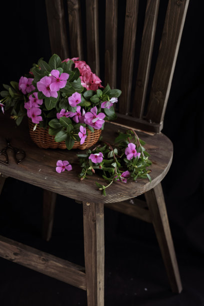 静物画图片下载