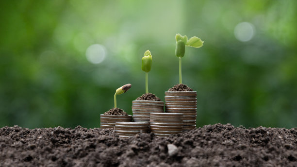 幼苗生长在土壤上的一堆硬币上。企业成长、盈利、绿色能源、生态能源、发展、成功的理念。可持续投资图片下载