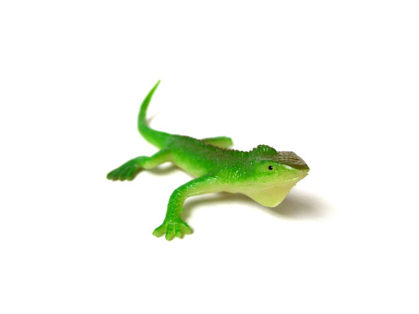 白色背景上孤立的鬣蜥玩具特写。图片下载