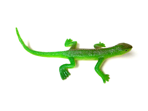 白色背景上孤立的鬣蜥玩具特写。图片下载