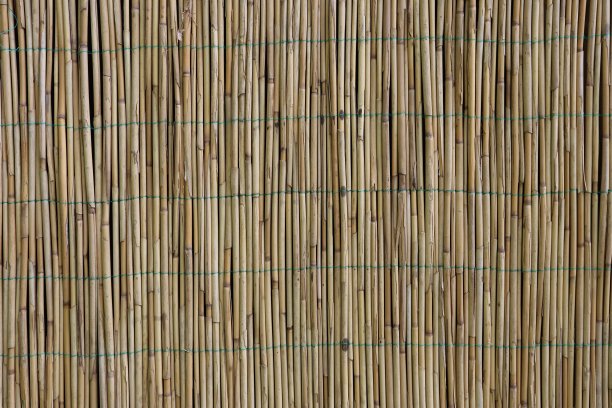 竹纹墙图片下载