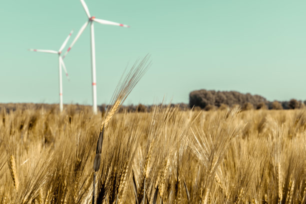 环境产业可再生能源图片下载