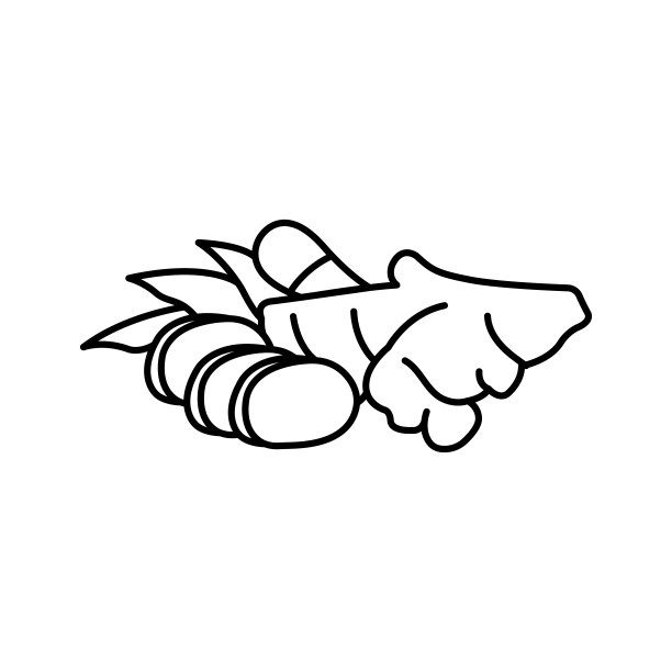 姜图标矢量设计模板在白色背景图片下载