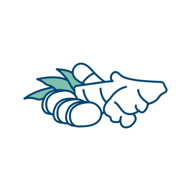 姜图标矢量设计模板在白色背景图片下载