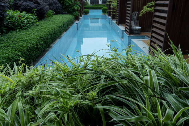 酒店设有室外游泳池图片下载