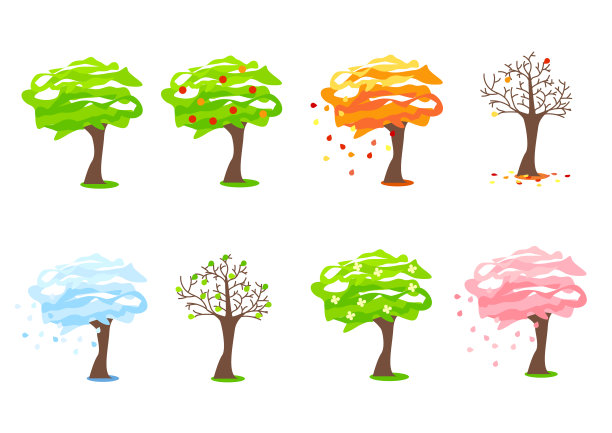 在一年的不同时间种树。图片下载