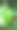 植物叶片的高角度视图图片下载