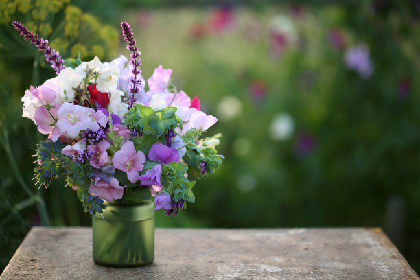 甜豌豆花束图片下载