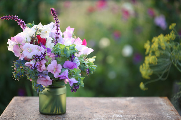 甜豌豆花束图片下载