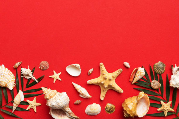 在彩色的桌子上平铺着美丽的海星和海贝壳的构图，顶部有文字的复制空间图片下载