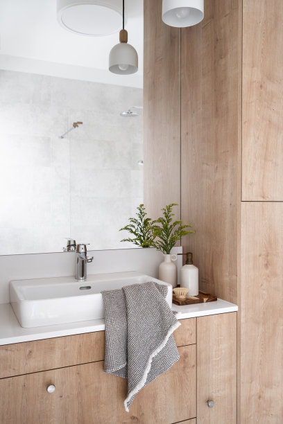 配有洗脸盆和化妆品的家庭盥洗室图片下载