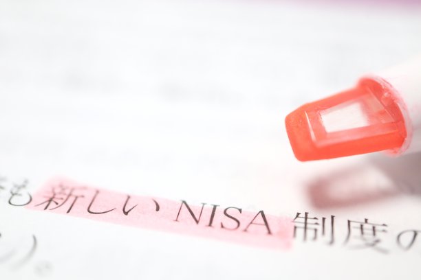 NISA新系统图片下载