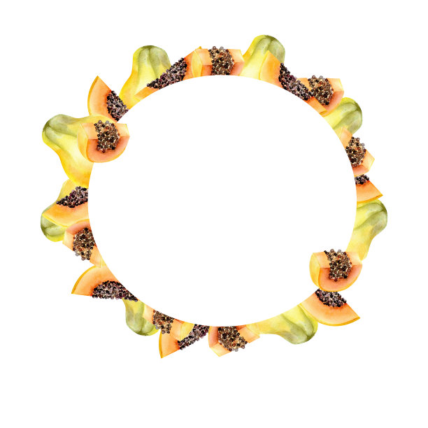 木瓜局部水果水彩框架。手绘异国水果圆框图片下载