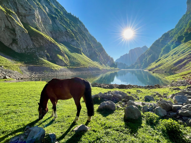 瑞士阿彭策尔Alpstein的Fählensee全景。图片下载