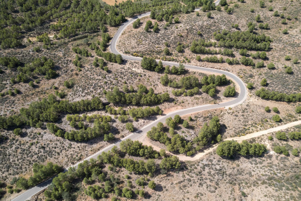 一条穿过松林的道路的俯视图照片图片下载