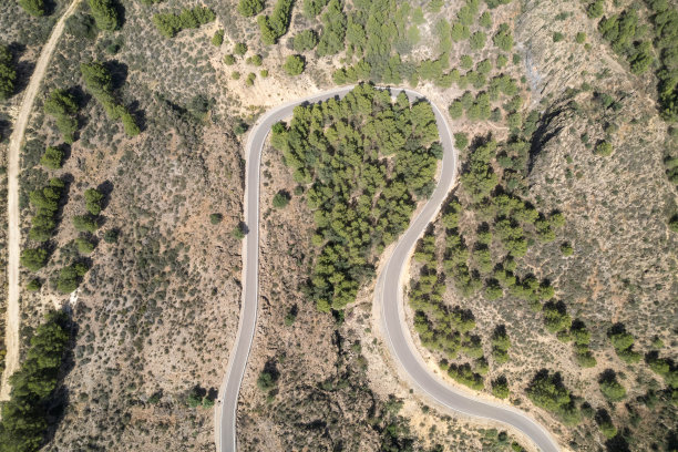 一条穿过松林的道路的俯视图照片图片下载