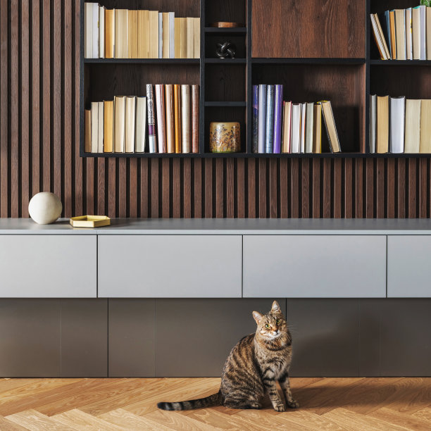现代书柜在薄板墙。灰色的五斗橱。书柜里有很多书和配件。人字木镶木地板。猫在开阔的空间。图片下载