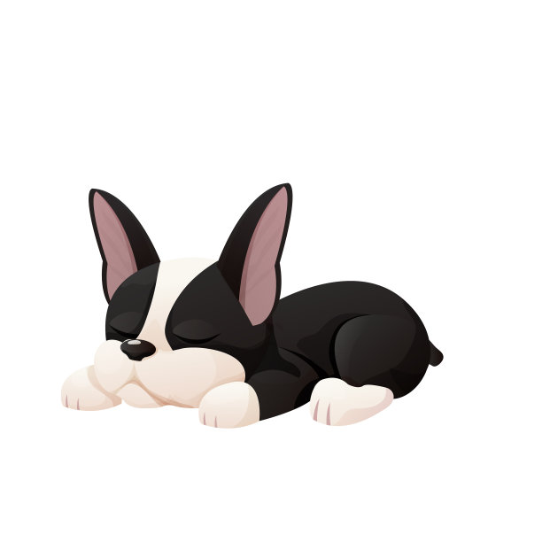 可爱的波士顿梗酷可爱的小狗躺在卡通风格孤立的白色背景。可爱的狗，印刷设计。矢量图图片下载