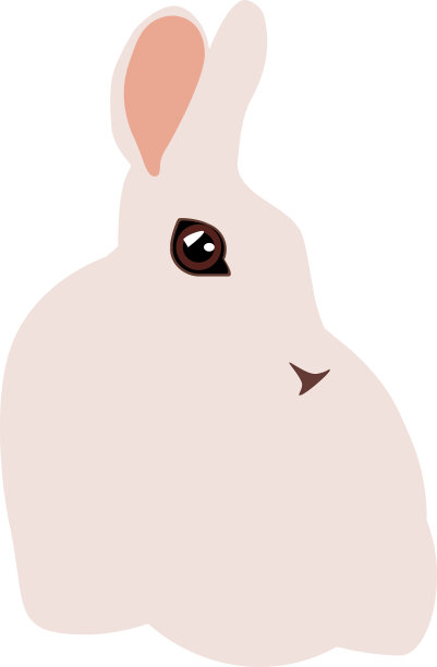 兔子简单矢量图片下载